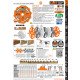 Купить Пазовые пильные регулируемые диски Dado 203х30х12 K6.35-20.64. Официальный магазин JET Украина. Фирменный инструмент Джет и оборудовние